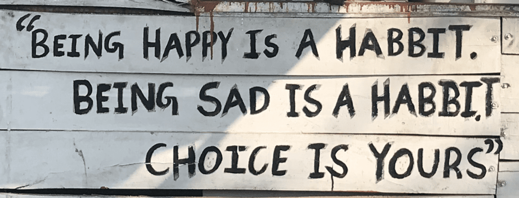 Happiness as Choice