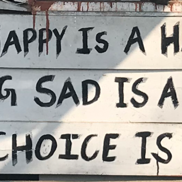 Happiness as Choice