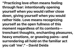 David Deida Quote