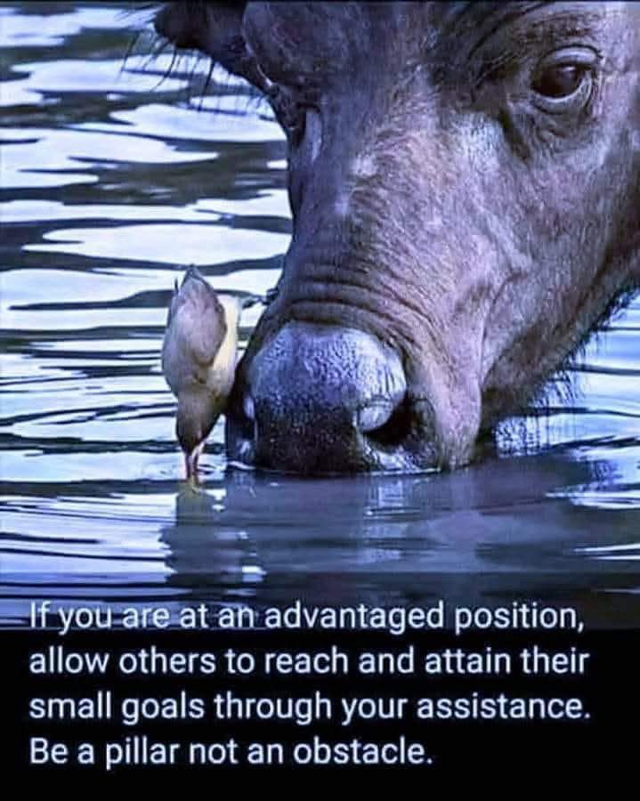 advantagedposition