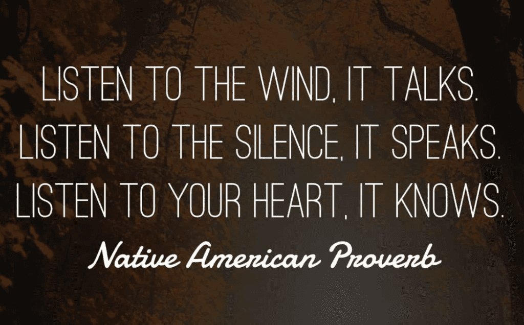 nativeamericanproverb